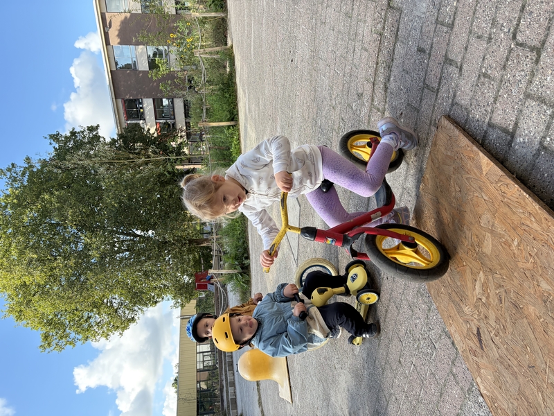 IMG_6389.jpeg