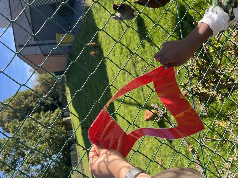 IMG_0209.jpeg