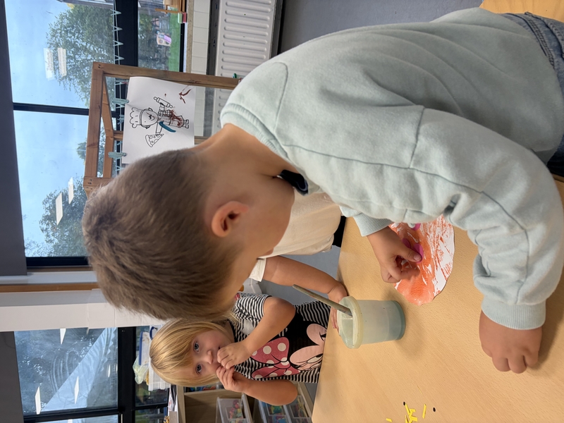 IMG_7017.jpeg