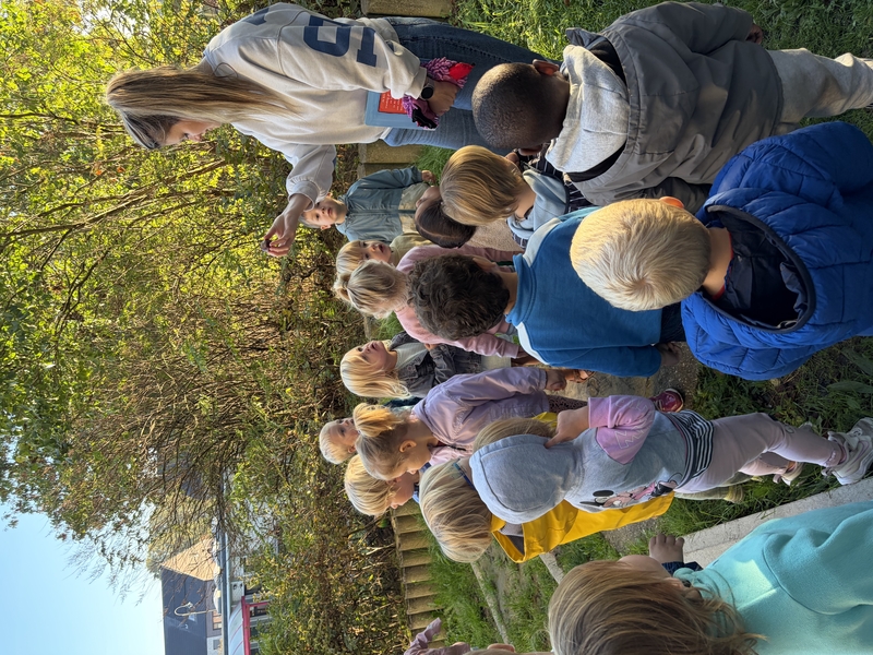 IMG_7200.jpeg