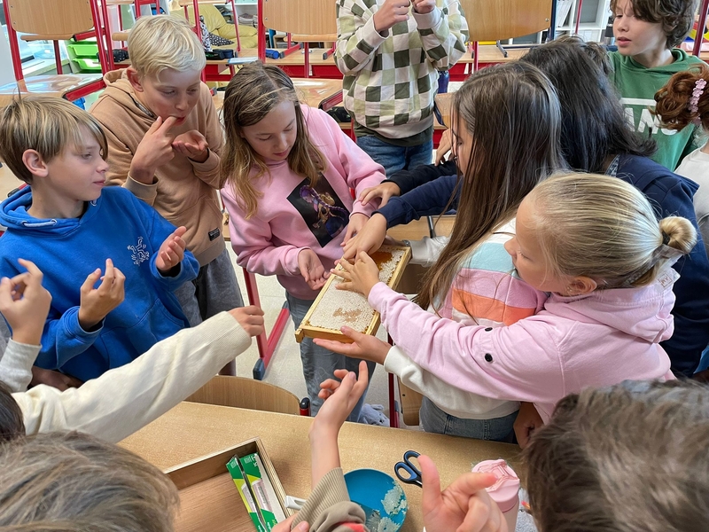 WhatsApp Image 2025-09-16 at 14.43.28 (2).jpeg