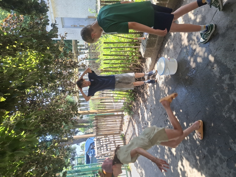 20260625_140239.jpg